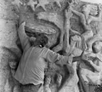 Immagine 106.jpg (133kb)